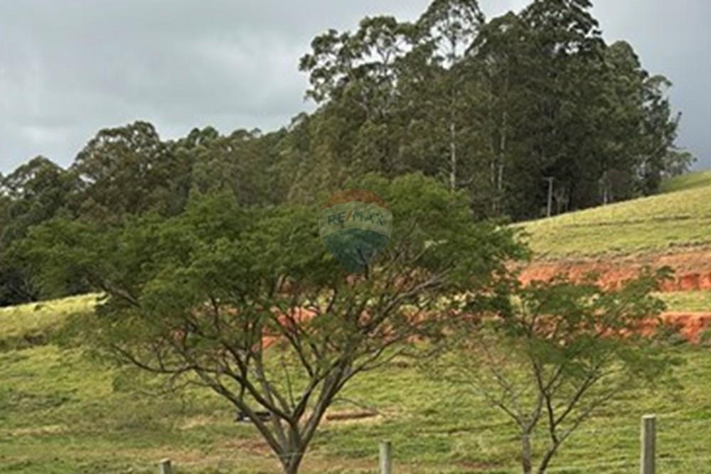 Chácara / Sítio / Fazenda - Venda - Guaratinguetá , São Paulo - IMG_0256.JPG - 630961014-63