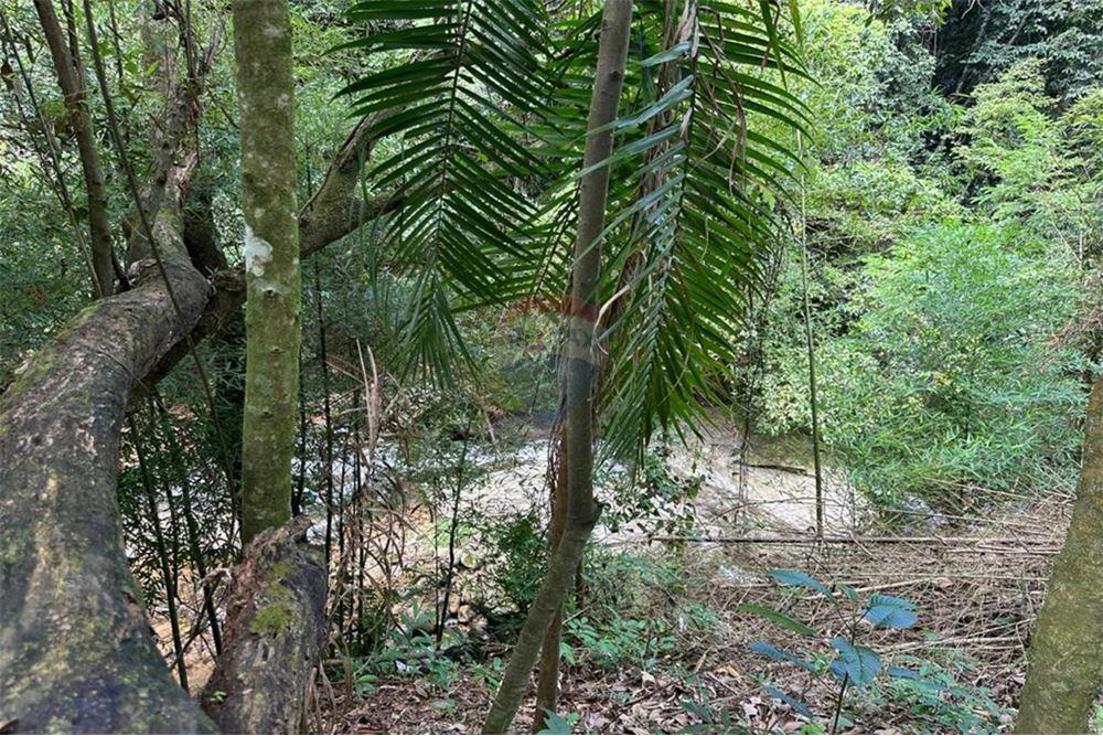 Residential - भूमि - Nova Friburgo , रिओ डे जैनेरो - BR - 49 - 630551016-143