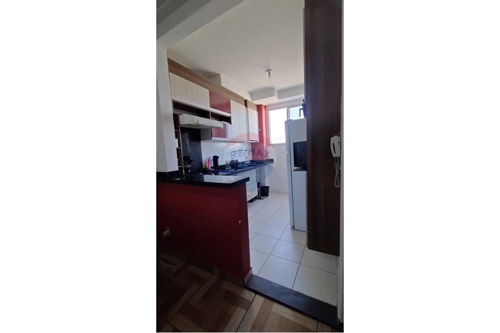 Apartamento - Alugar - Taubaté , São Paulo - WhatsApp Image 2025-11-07 at 14.38.49 (1).jpeg - 630961004-463