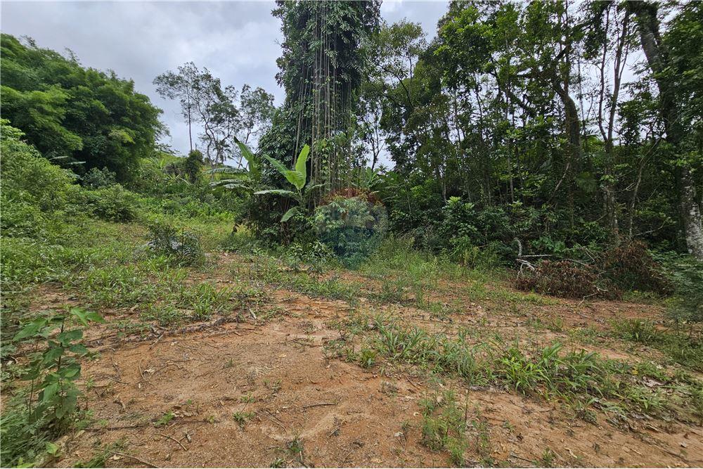 Residential - भूमि - Nova Friburgo , रिओ डे जैनेरो - BR - 26 - 630551016-143