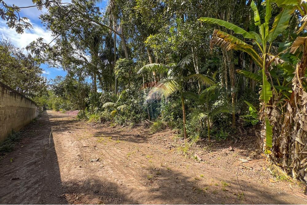 Terreno - Venda - Suzano , São Paulo - 7.jpg - 631371018-45