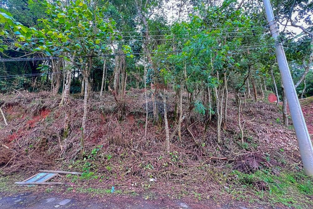 Terreno - Venda - Ribeirão Pires , São Paulo - 3.jpg - 631371054-1