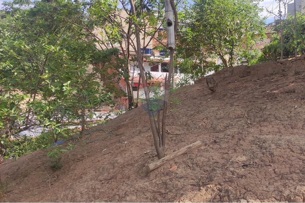 Terreno - Venda - Paraíba do Sul , Rio de Janeiro - IMG_20251106_135656.jpg - 631411001-102