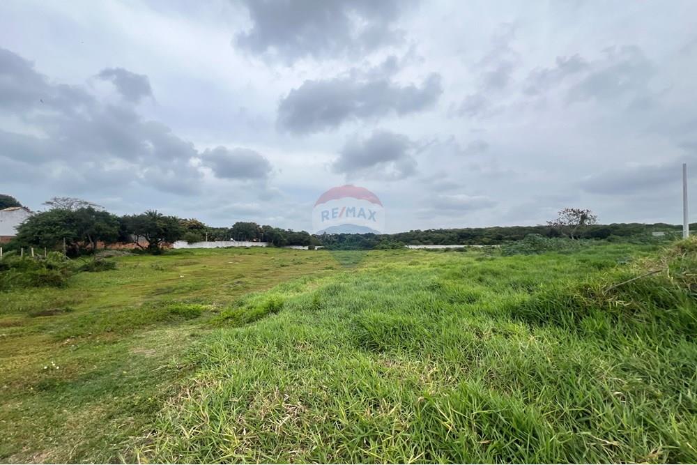Terreno - Venda - Armação dos Búzios , Rio de Janeiro - IMG_4428.JPG - 630391039-93