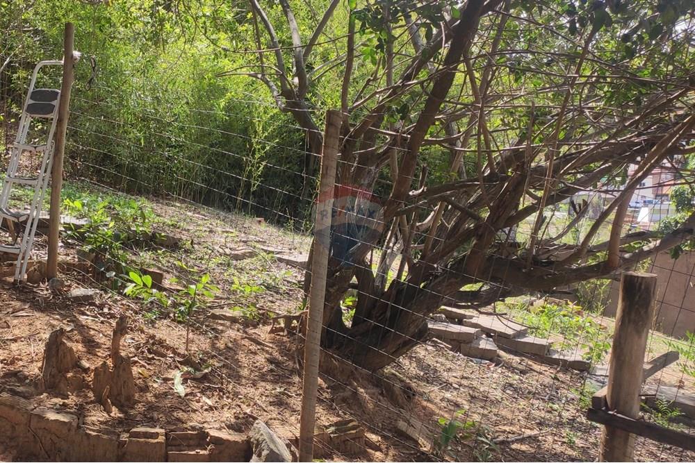 Terreno - Venda - Paraíba do Sul , Rio de Janeiro - IMG_20251106_135722.jpg - 631411001-102