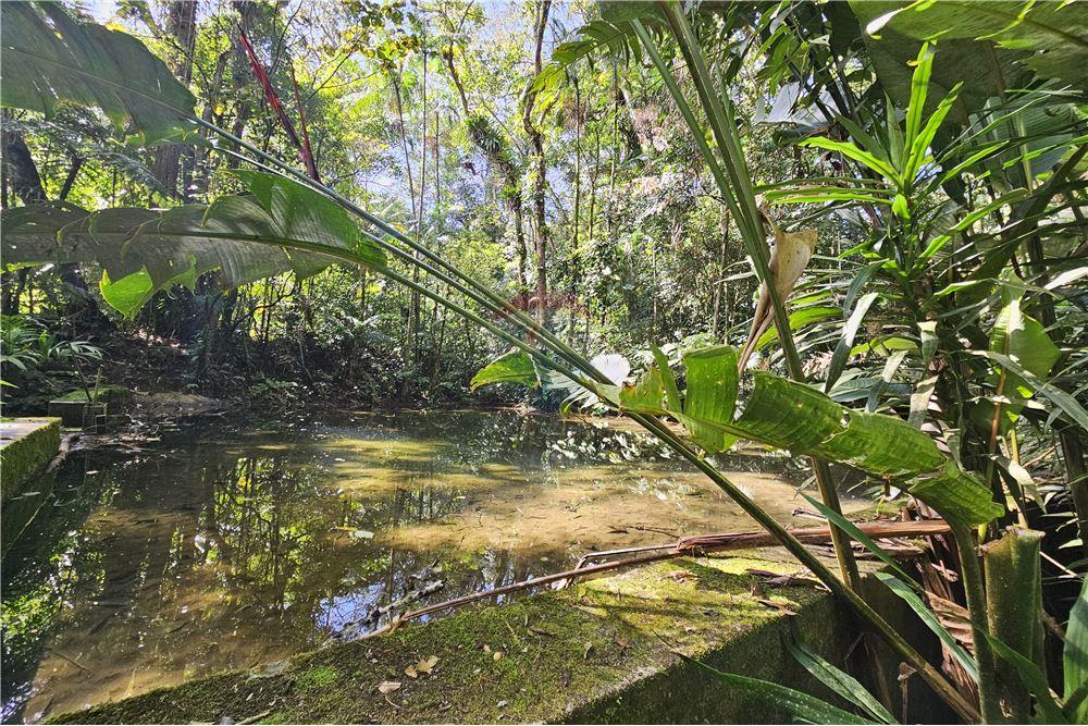 Residential - फार्म - Nova Friburgo , रिओ डे जैनेरो - BR - 85 - 630551016-150