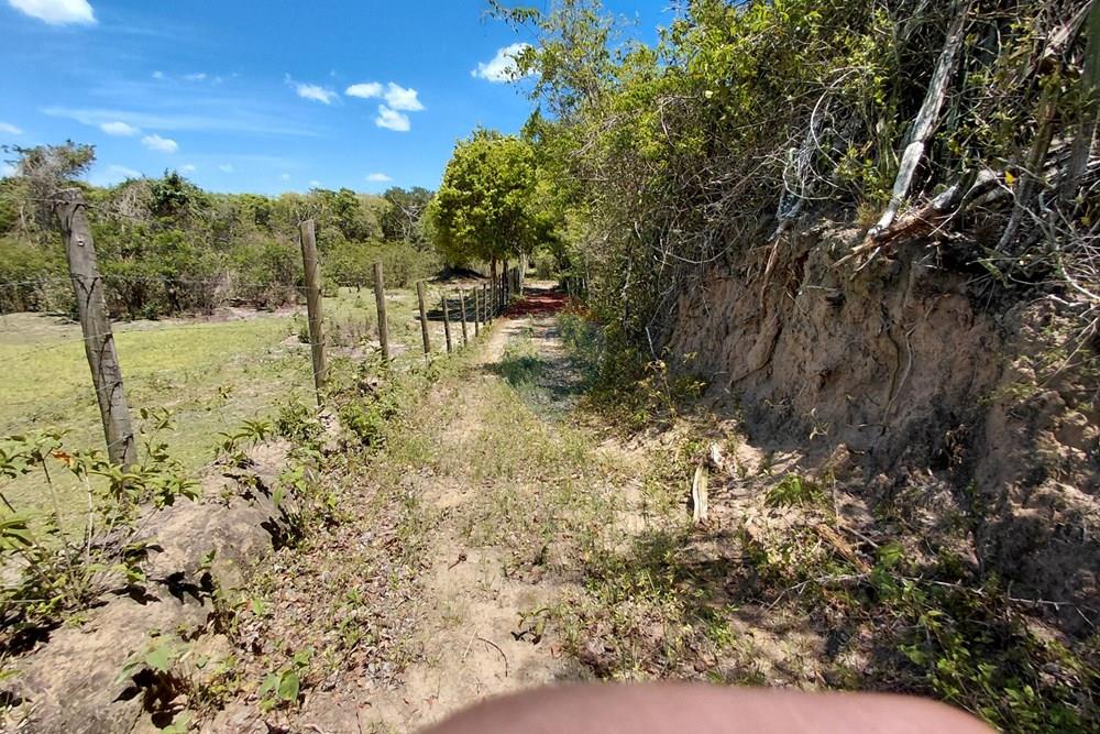 Terreno - Venda - Armação dos Búzios , Rio de Janeiro - 20251211_103847.jpg - 630391071-25