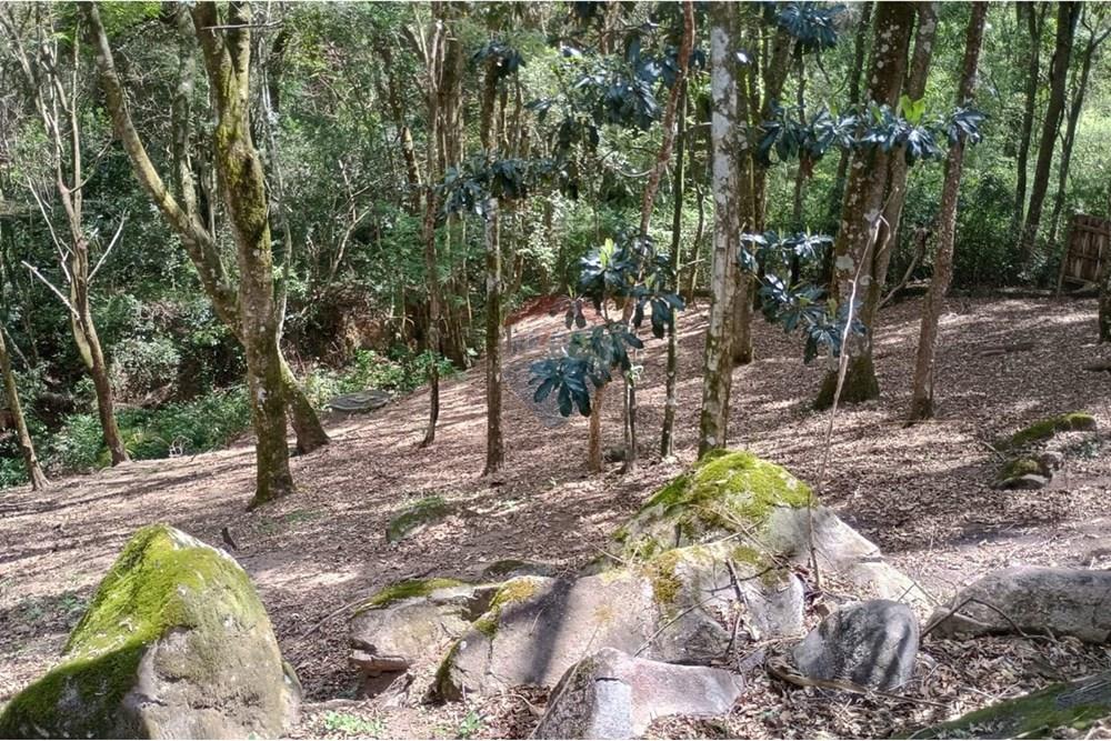 Chácara / Sítio / Fazenda - Venda - Ibiúna , São Paulo - WhatsApp Image 2025-10-26 at 08.04.31 (2).jpeg - 631331032-6