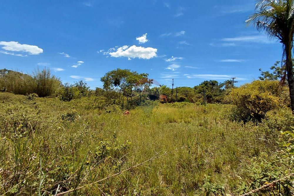 Terreno - Venda - Armação dos Búzios , Rio de Janeiro - 20251211_101956.jpg - 630391071-23