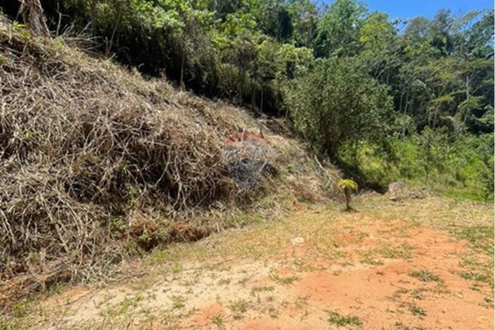 Terreno - Venda - Teresópolis , Rio de Janeiro - 87558907-1733-466a-94e6-199a0dd3ee78.jpeg - 630191046-53