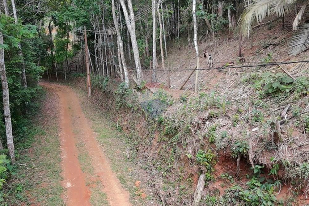 Terreno - Venda - Teresópolis , Rio de Janeiro - DJI_20251223091654_0234_D.JPG - 630191109-14