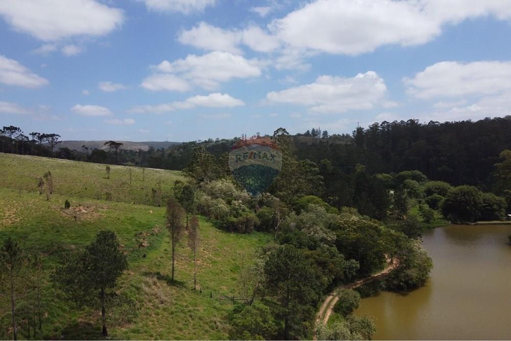 Terreno - Venda - Mairinque , São Paulo - 98f1dfef-af6b-46bc-8886-f0f209a468bb.jpeg - 631601004-144