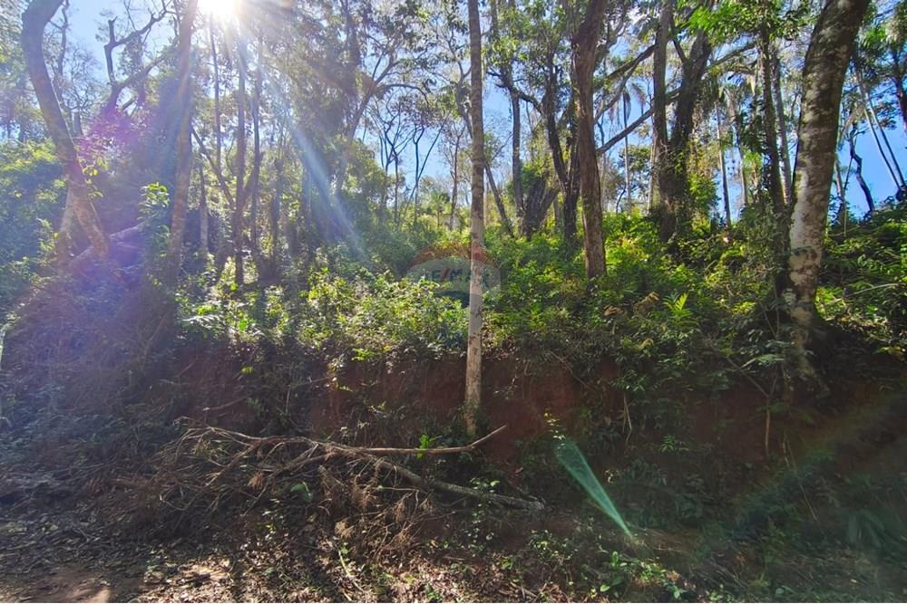 Terreno - Venda - Mairiporã , São Paulo - Terreno rafael 9.jpg - 631361059-12