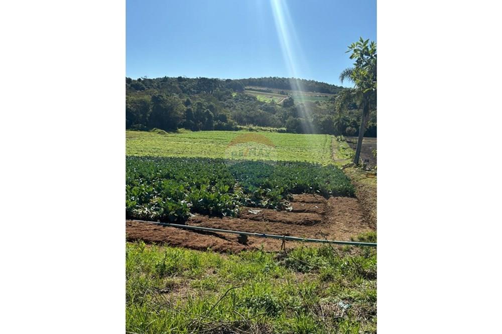 Terreno - Venda - São Roque , São Paulo - WhatsApp Image 2025-07-18 at 10.29.27.jpeg - 631601004-126