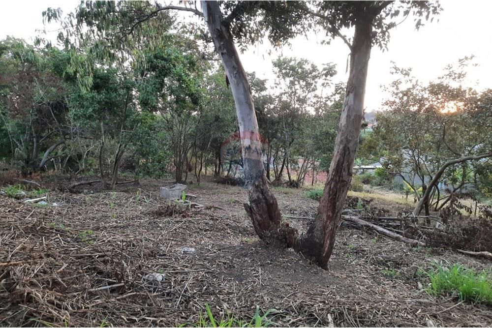 Terreno - Venda - Sorocaba , São Paulo - WhatsApp Image 2025-02-28 at 08.13.34.jpeg - 631651005-5