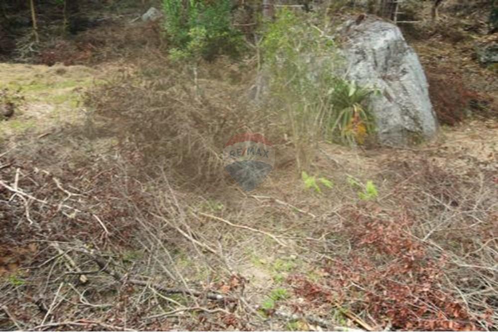 Terreno - Venda - Paraíba do Sul , Rio de Janeiro - 12.jpg - 631611011-3