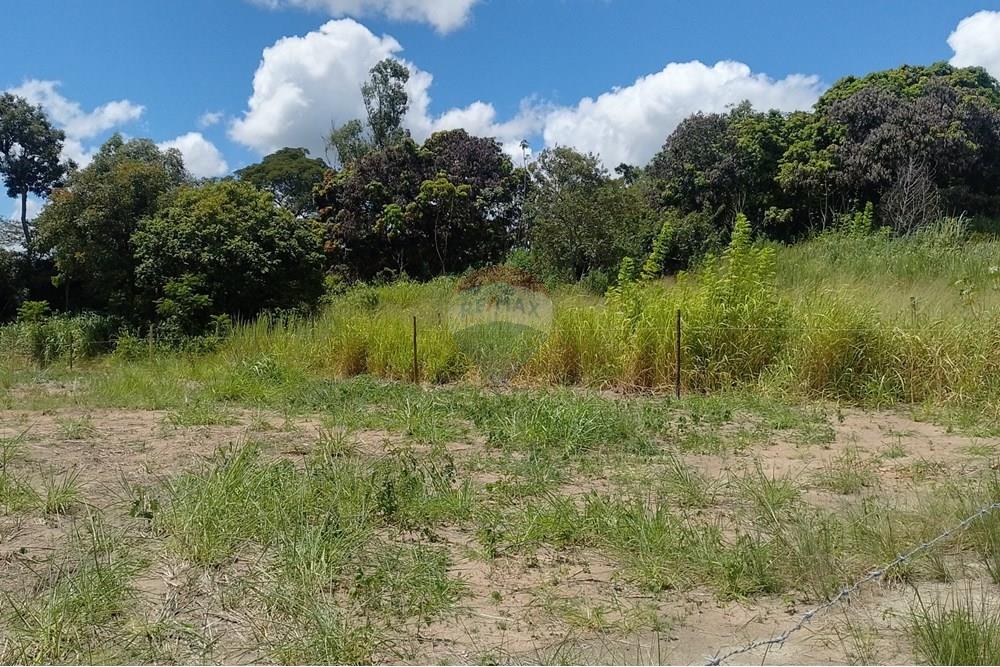 Terreno - Venda - Paraíba do Sul , Rio de Janeiro - IMG_20250225_111401_HDR.jpg - 631411001-104