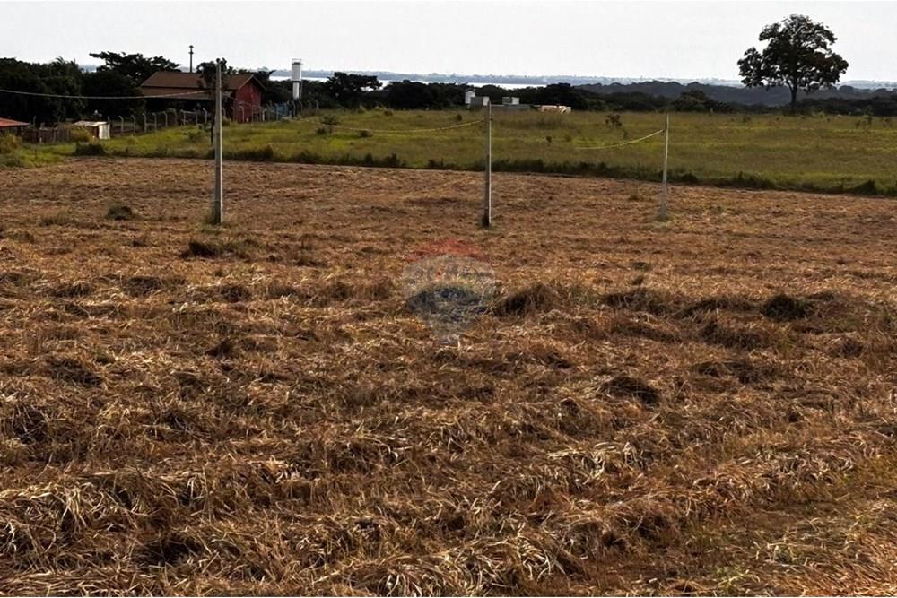 Terreno - Venda - Pereira Barreto , São Paulo - WhatsApp Image 2025-07-10 at 08.47.04.jpeg - 631201049-47