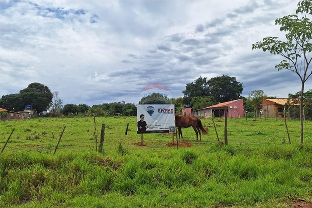 Terreno - Venda - Regente Feijó , São Paulo - WhatsApp Image 2025-11-14 at 15.45.48 (1).jpeg - 630091067-14