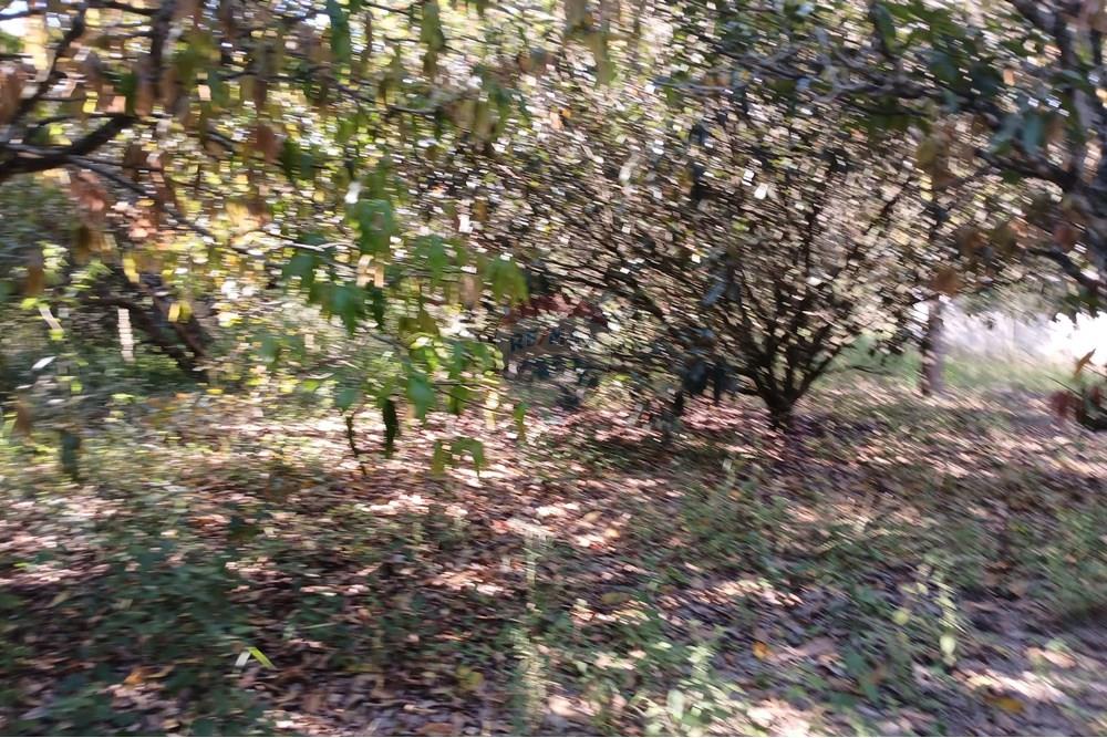 Terreno - Venda - Salto de Pirapora , São Paulo - 20250306_152109.jpg - 631181028-68