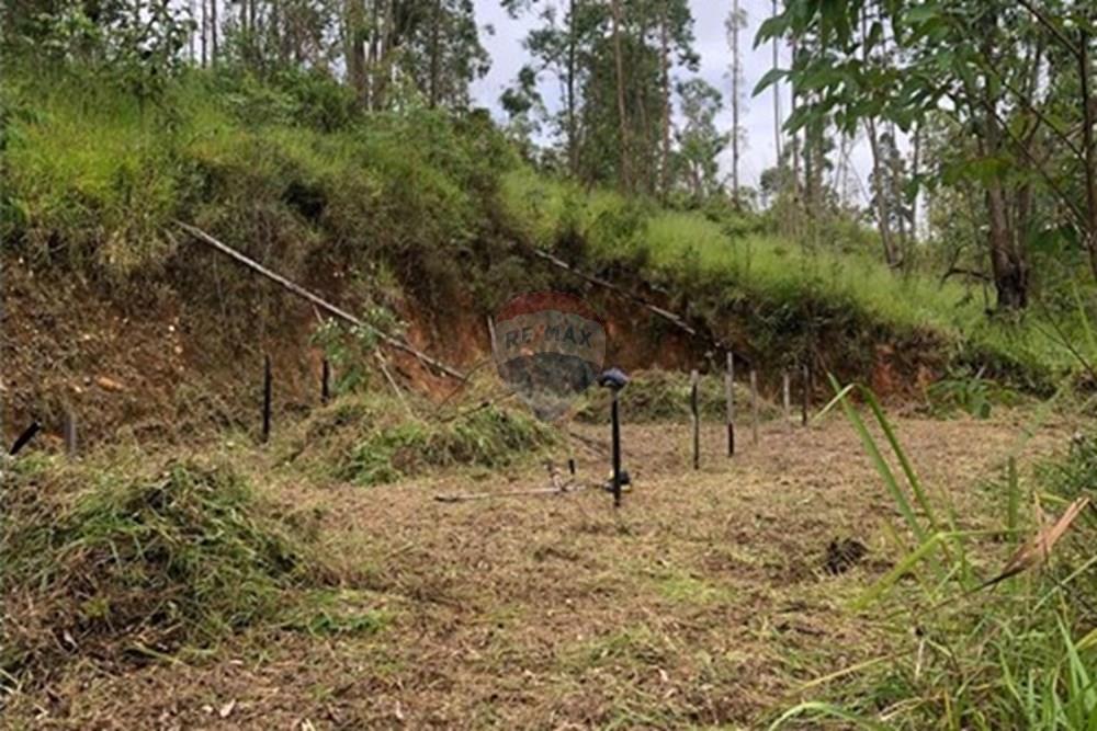 Terreno - Venda - Mairiporã , São Paulo - WhatsApp Image 2026-02-03 at 08.22.04.jpeg - 631361077-14