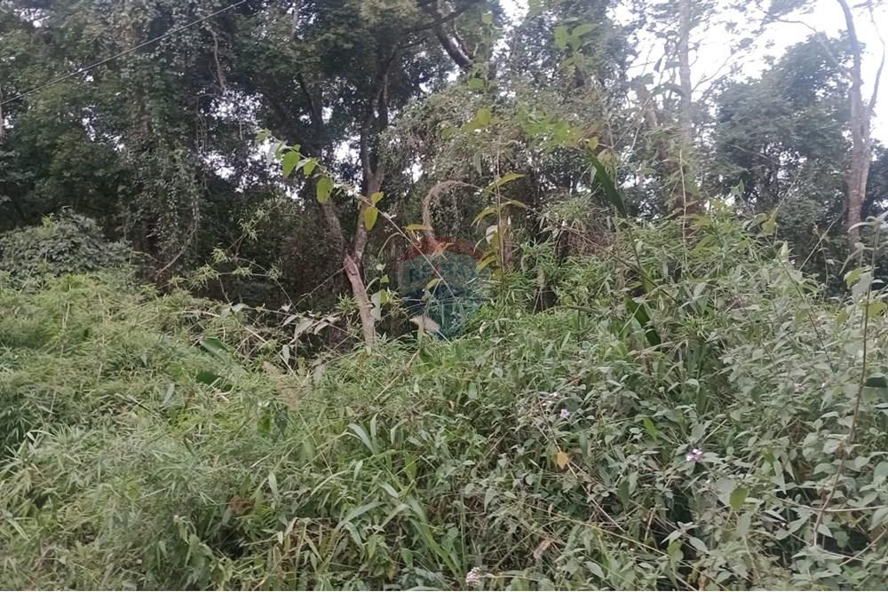 Terreno - Venda - São Roque , São Paulo - WhatsApp Image 2025-09-19 at 12.32.19.jpeg - 631601014-45