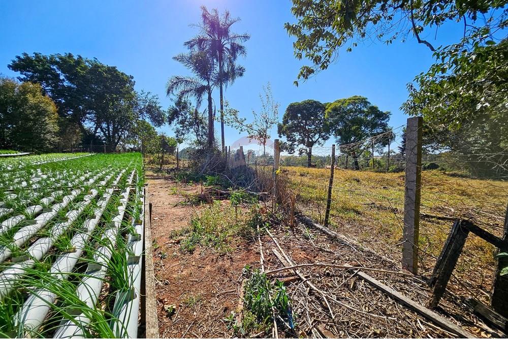 Fazenda - Venda - Botucatu , São Paulo - IMG-20250717-WA0059.jpg - 630111096-7