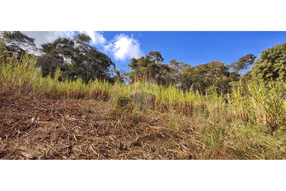 Terreno - Venda - Petrópolis , Rio de Janeiro - IMG_20250814_093225.jpg - 630131061-30