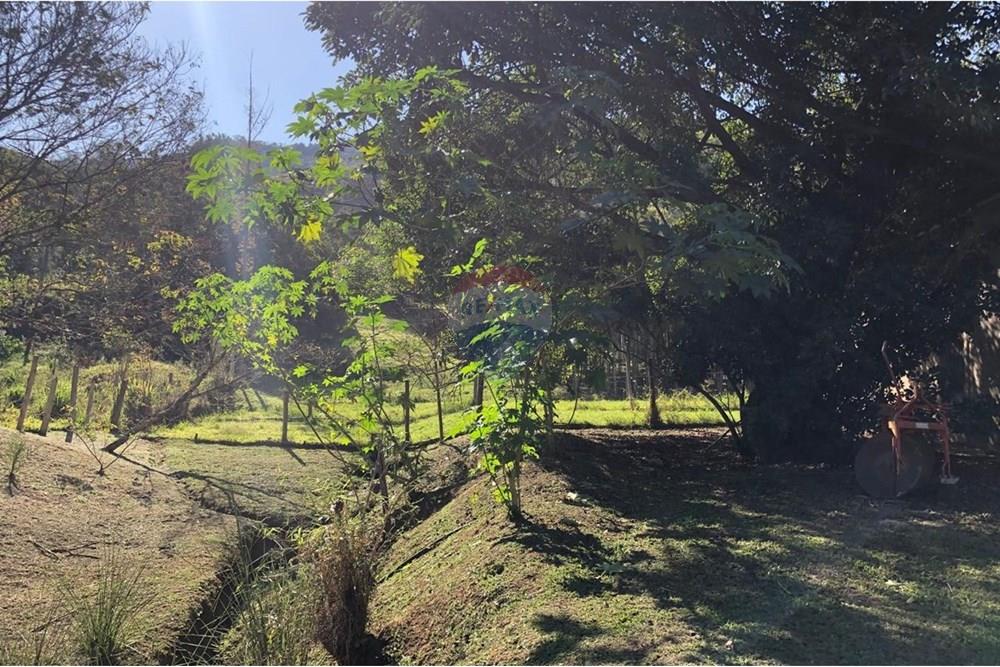 Chácara / Sítio / Fazenda - Venda - Monteiro Lobato , São Paulo - IMG-20240726-WA0072.jpg - 631431003-134