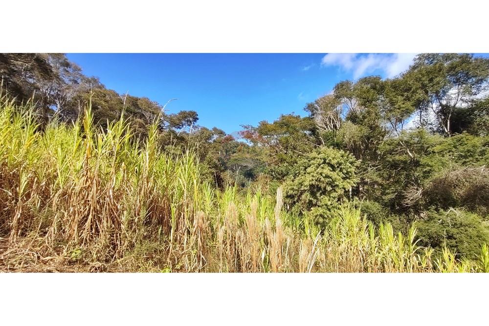 Terreno - Venda - Petrópolis , Rio de Janeiro - IMG_20250814_093258.jpg - 630131061-30