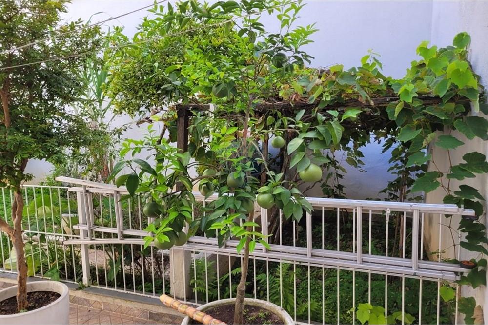 Casa Comercial - Venda - Mogi das Cruzes , São Paulo - WhatsApp Image 2025-07-28 at 09.33.43 (3).jpeg - 631251047-99