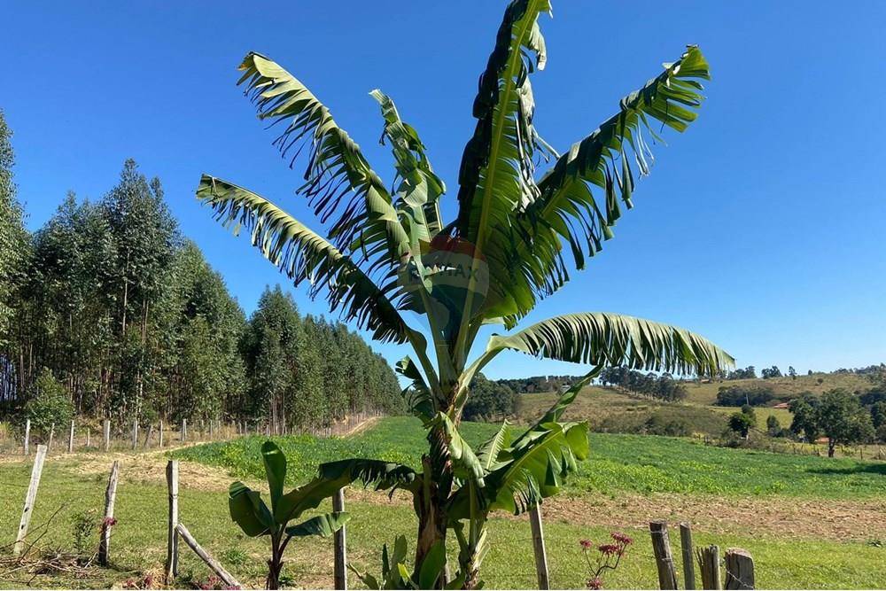 Chácara / Sítio / Fazenda - Alugar - Salto de Pirapora , São Paulo - WhatsApp Image 2025-07-15 at 13.03.16 (1).jpeg - 631181025-207