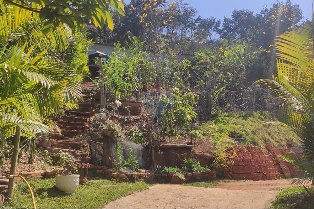 Terreno - Venda - Paraíba do Sul , Rio de Janeiro - IMG_20250911_133421.jpg - 631411007-4