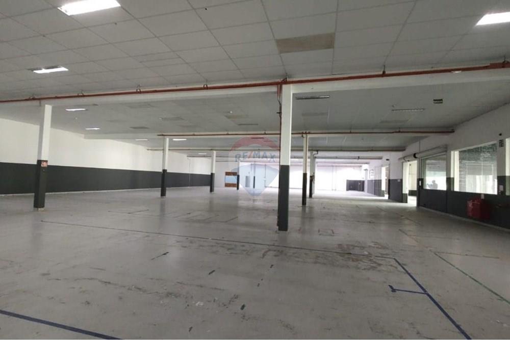 Galpão - Alugar - São Bernardo do Campo , São Paulo - 26.jpg - 630751057-217