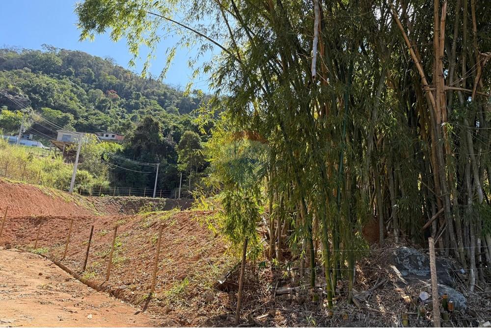 Terreno - Venda - Areal , Rio de Janeiro - Imagem do WhatsApp de 2025-08-11 à(s) 12.56.26_1776efe4.jpg - 631611009-19