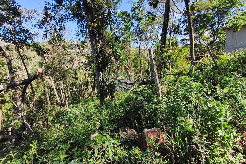 Terreno - Venda - Mairiporã , São Paulo - Terreno rafael 13.jpg - 631361059-12