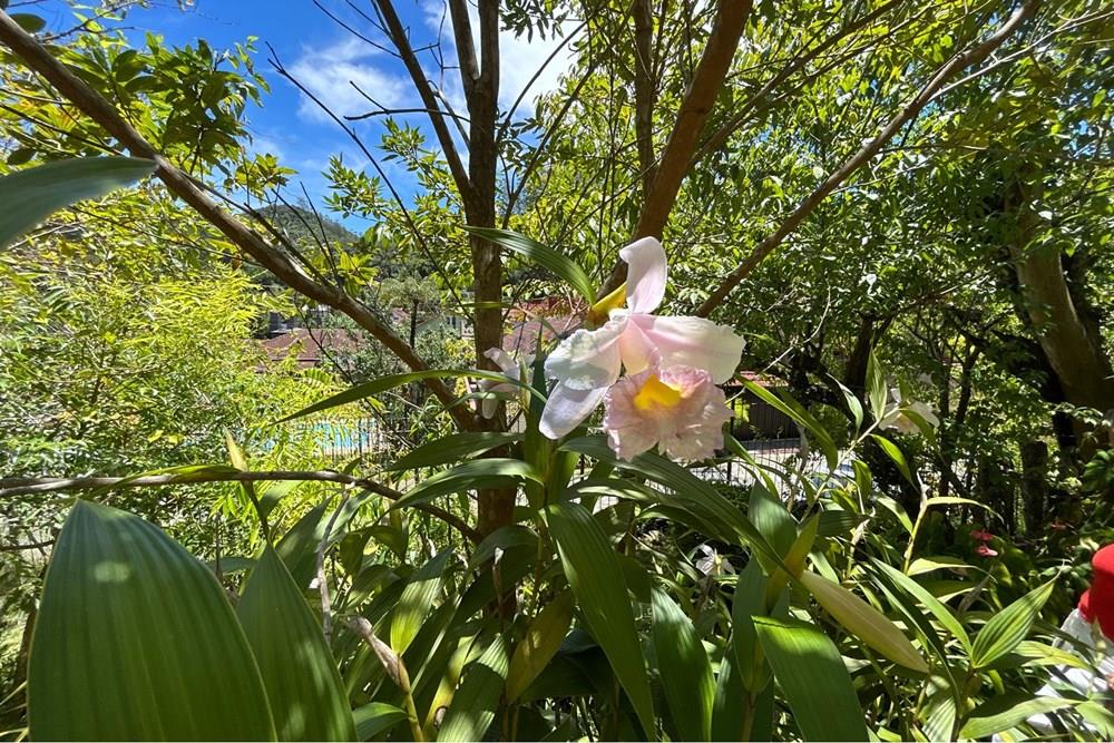 Casa - Venda - Nova Friburgo , Rio de Janeiro - IMG_1181.jpeg - 630551055-130