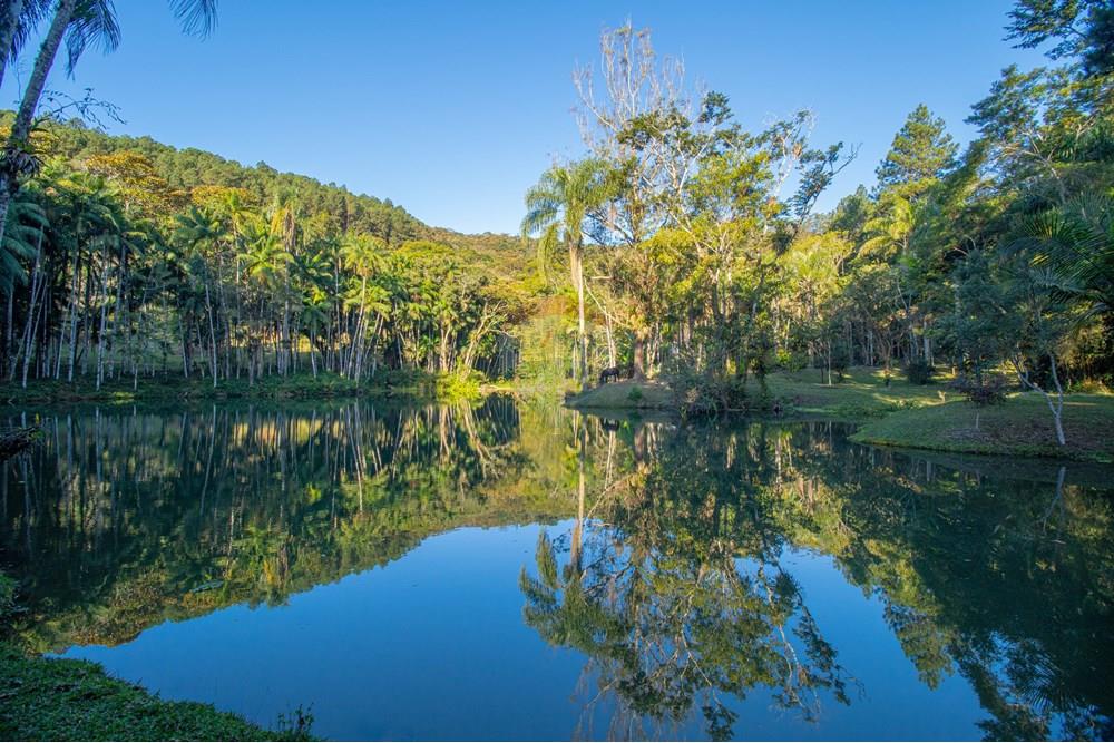 Chácara / Sítio / Fazenda - Venda - Mogi das Cruzes , São Paulo - DSC06191.jpg - Quintal - 631251031-4