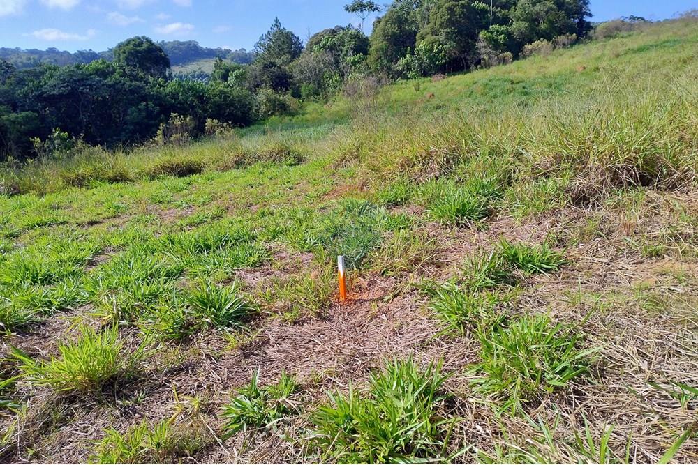 Terreno - Venda - Mogi das Cruzes , São Paulo - IMG_20250505_095658614_HDR_AE.jpg - 631251047-137