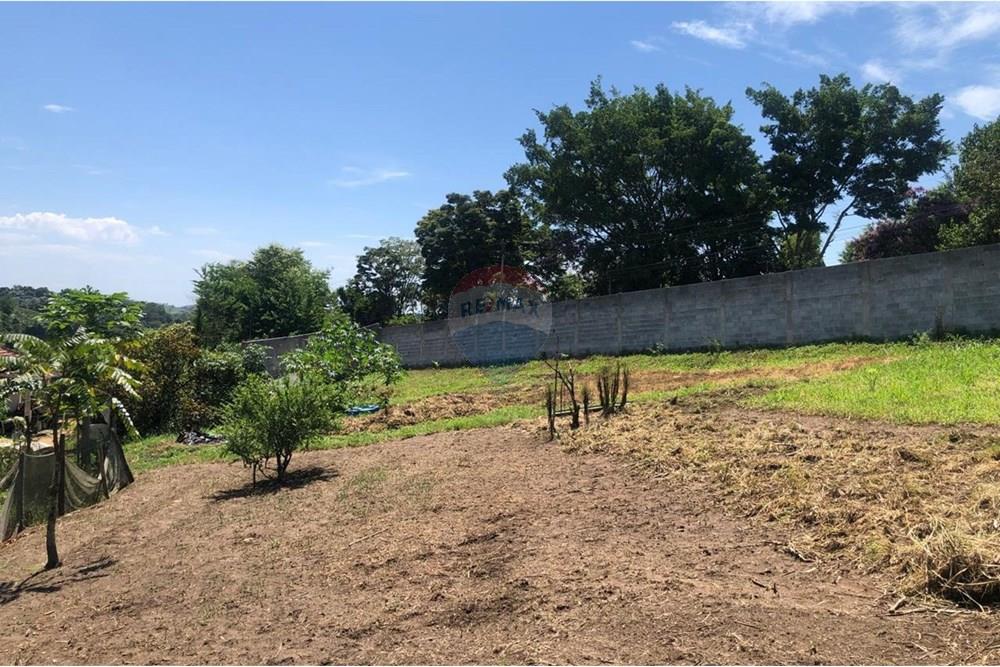 Chácara / Sítio / Fazenda - Venda - Santa Isabel , São Paulo - WhatsApp Image 2025-02-20 at 14.04.33 (5).jpeg - 631491020-25