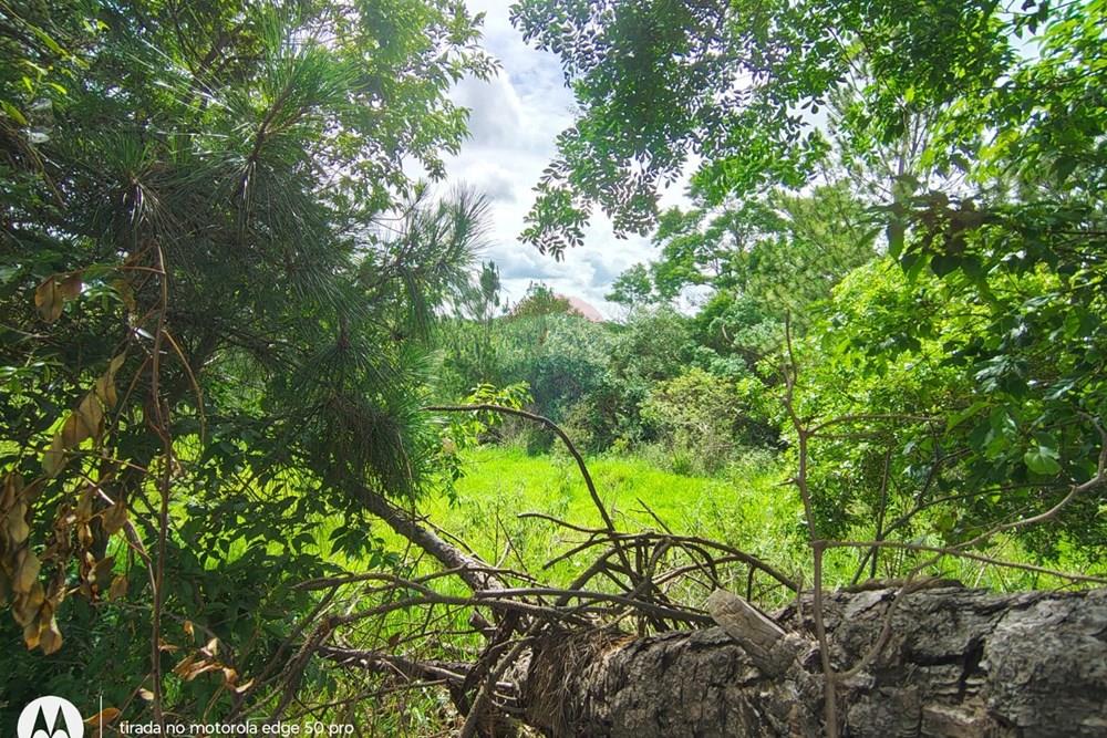 Terreno - Venda - Boituva , São Paulo - WhatsApp Image 2026-03-24 at 15.30.09.jpeg - 630601260-17