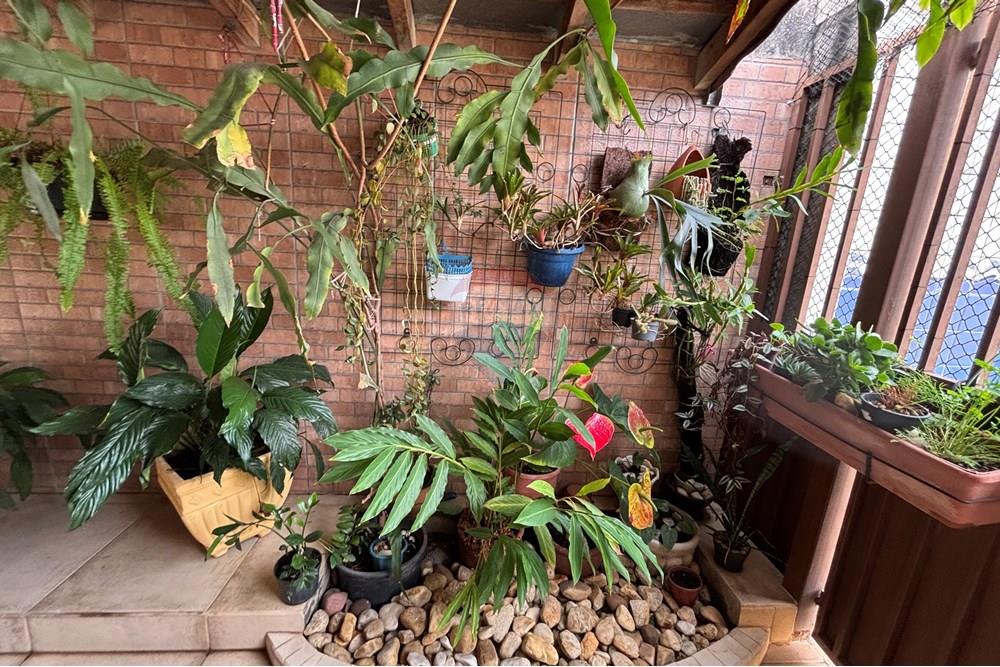 Casa - Venda - Taubaté , São Paulo - IMG_5504.JPG - 630961004-474