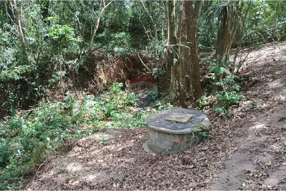 Chácara / Sítio / Fazenda - Venda - Ibiúna , São Paulo - WhatsApp Image 2025-10-26 at 08.04.31 (1).jpeg - 631331032-6