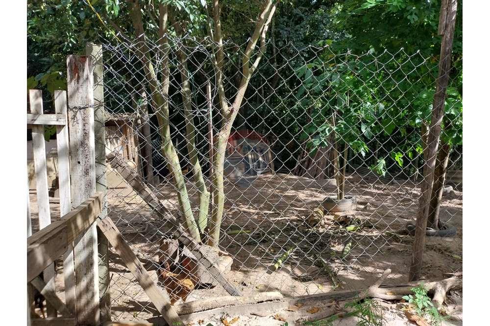 Casa de Campo - Alugar - Salto de Pirapora , São Paulo - WhatsApp Image 2024-04-29 at 12.18.29 (1).jpeg - 631181023-68