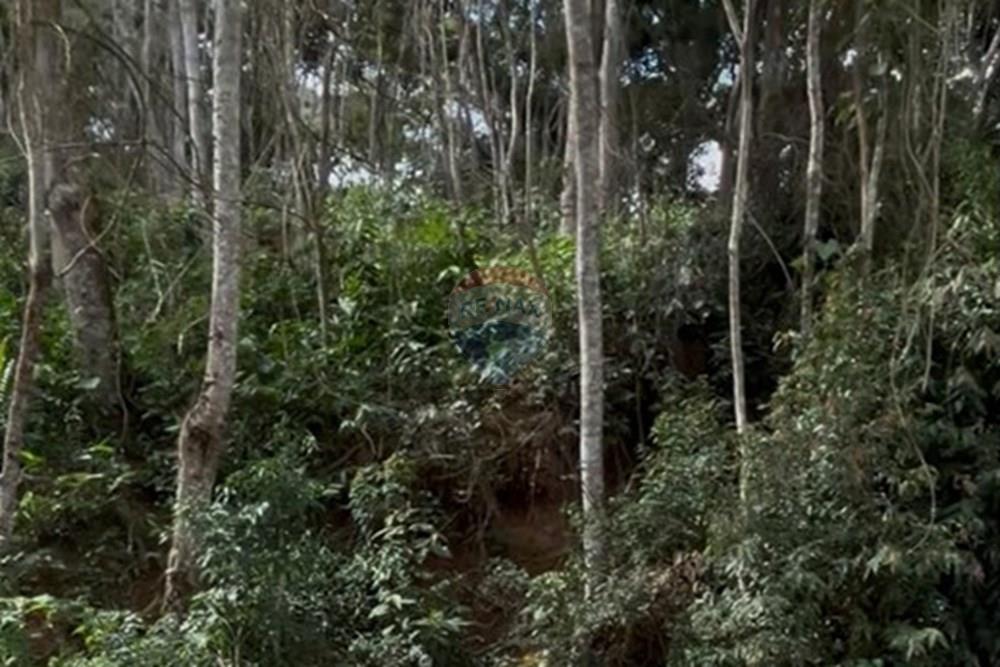 Terreno - Venda - Nova Friburgo , Rio de Janeiro - WhatsApp Image 2025-06-17 at 20.35.10.jpeg - 630551023-418