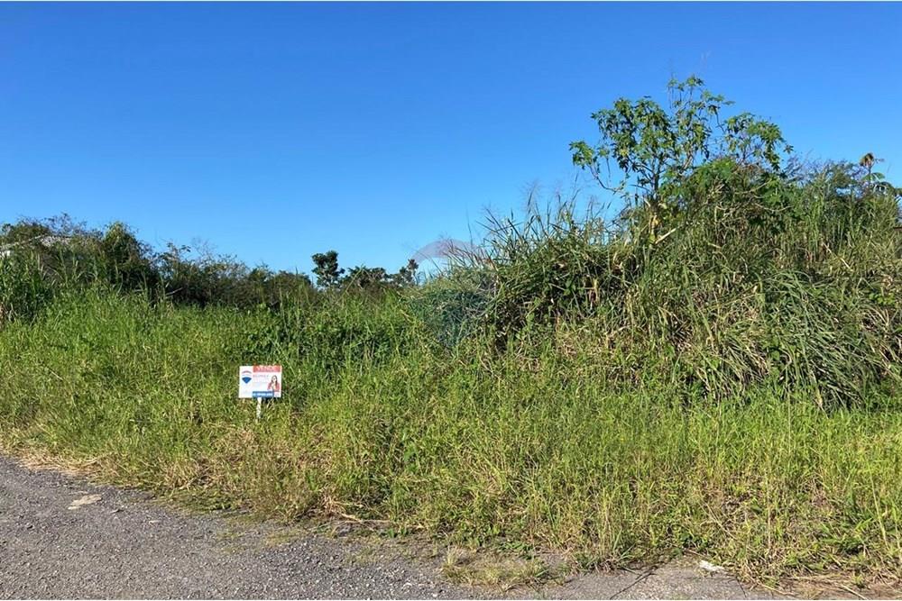 Terreno - Venda - Caraguatatuba , São Paulo - Imagem do WhatsApp de 2025-06-16 à(s) 17.31.49_2d502430.jpg - 631571003-13