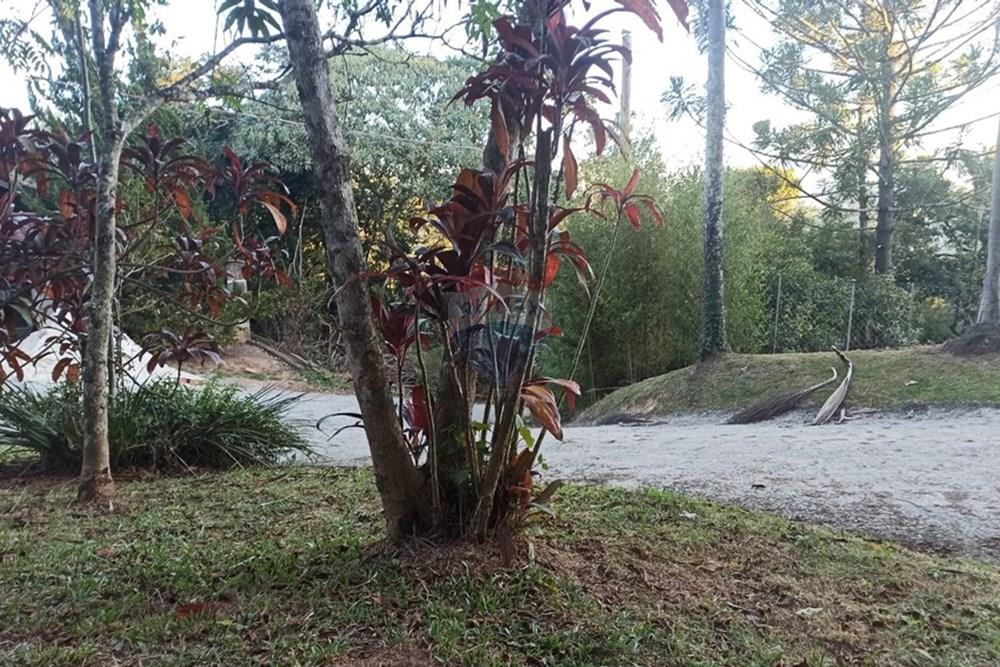 Terreno - Venda - Mairiporã , São Paulo - WhatsApp Image 2025-08-02 at 01.00.10 (1).jpeg - 631361025-30