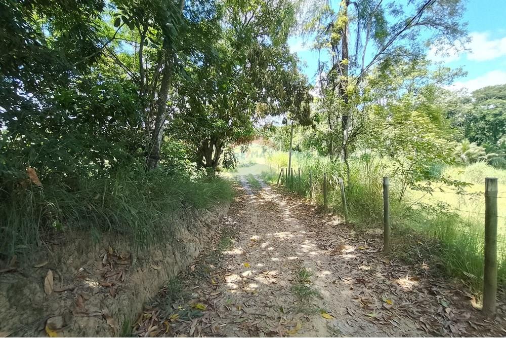 Terreno - Venda - Paraíba do Sul , Rio de Janeiro - IMG_20250225_111833_HDR.jpg - 631411001-104