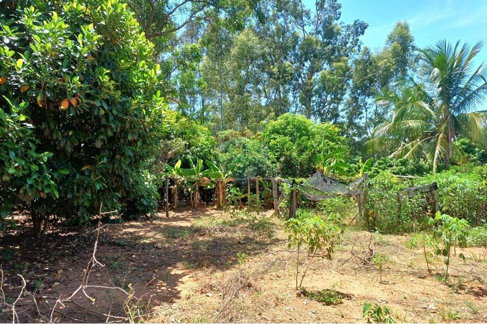 Chácara / Sítio / Fazenda - Venda - Tupã , São Paulo - WhatsApp Image 2025-11-10 at 13.59.23 (3).jpeg - 630151002-159