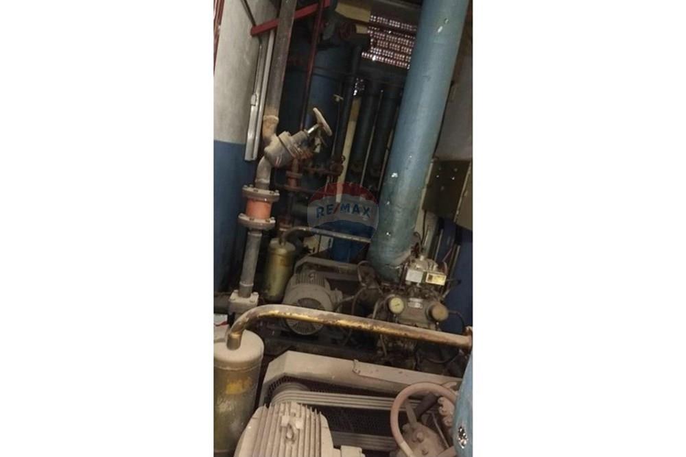 Galpão - Alugar - São Paulo , São Paulo - WhatsApp Image 2025-04-15 at 13.18.19.jpeg - 631531001-131